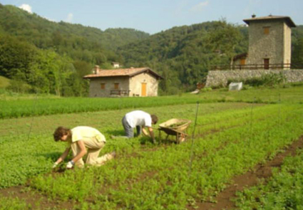 La Liguria verso l’agricoltura sociale